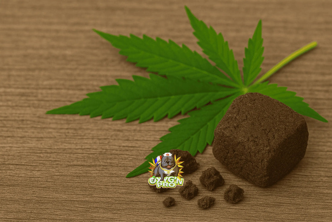 Comment choisir le meilleur grossiste résine CBD pour votre activité professionnelle