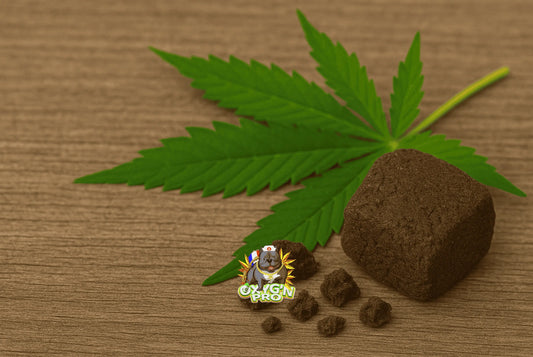 Comment choisir le meilleur grossiste résine CBD pour votre activité professionnelle