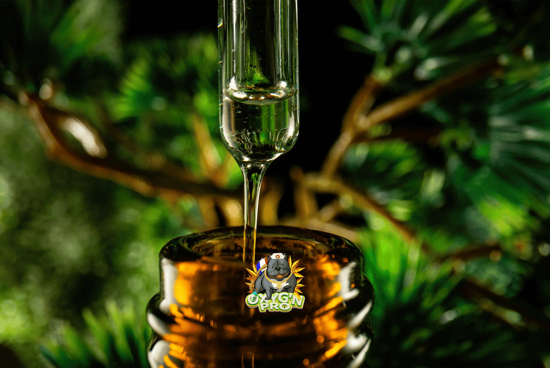 Grossiste huile CBD : tout savoir pour bien choisir son fournisseur et réussir son achat en gros