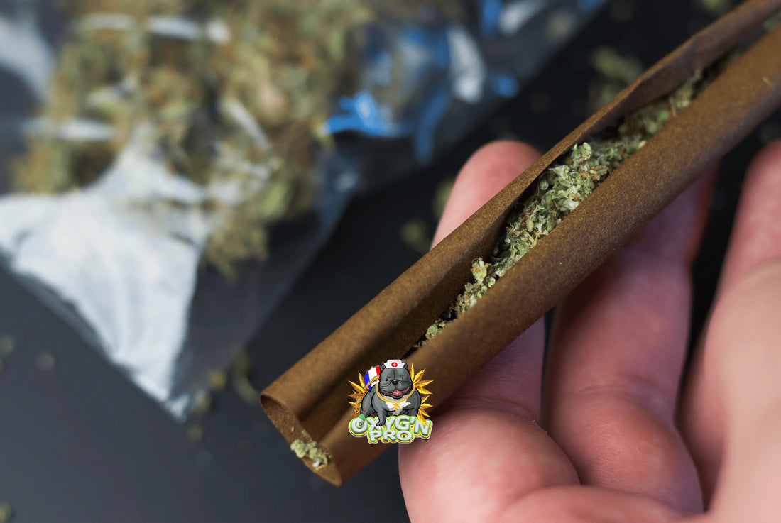 Grossiste pre roll : la solution pour les professionnels du CBD en quête de qualité