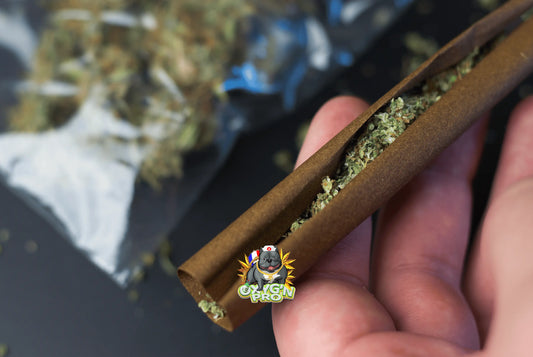 Grossiste pre roll : la solution pour les professionnels du CBD en quête de qualité