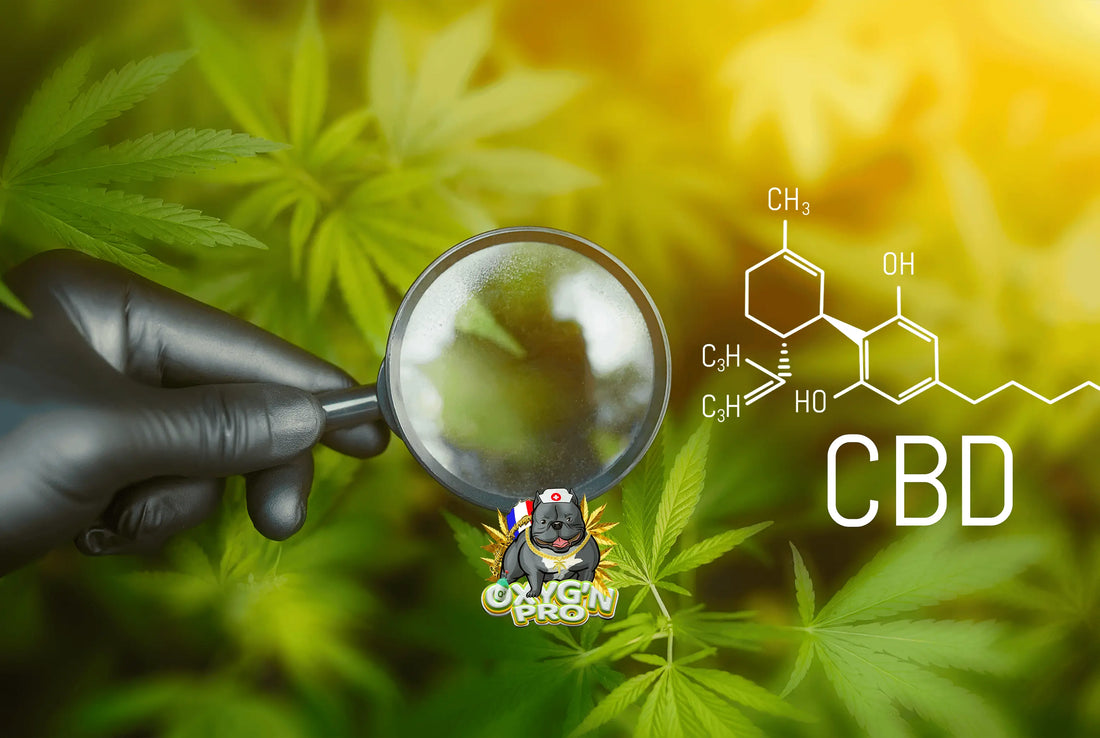 Marque cbd française : l’alliance de la qualité, du bien-être et de la conformité