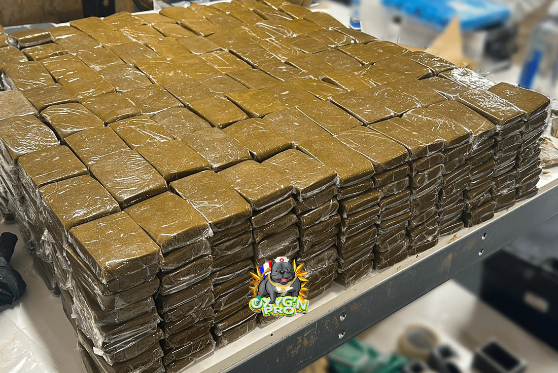 Résines de CBD en gros : une référence pour les professionnels du secteur