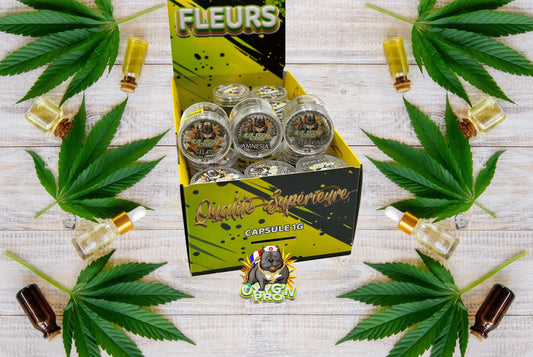 Capsules 1G CBD : le format malin pour les pros