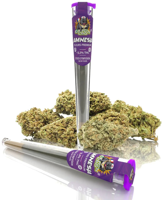 Pré-roll fleurs de CBD - Amnésia - Oxygn cbd grossiste pour professionnel