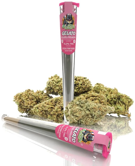 Pré-Roll de CBD Gelato Fleurs de CBD - Oxyg'n Grossiste CBD pour Pro