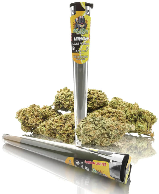 Pré-Roll de CBD Lemon Fleurs de CBD - Oxyg'n Grossiste CBD pour Pro