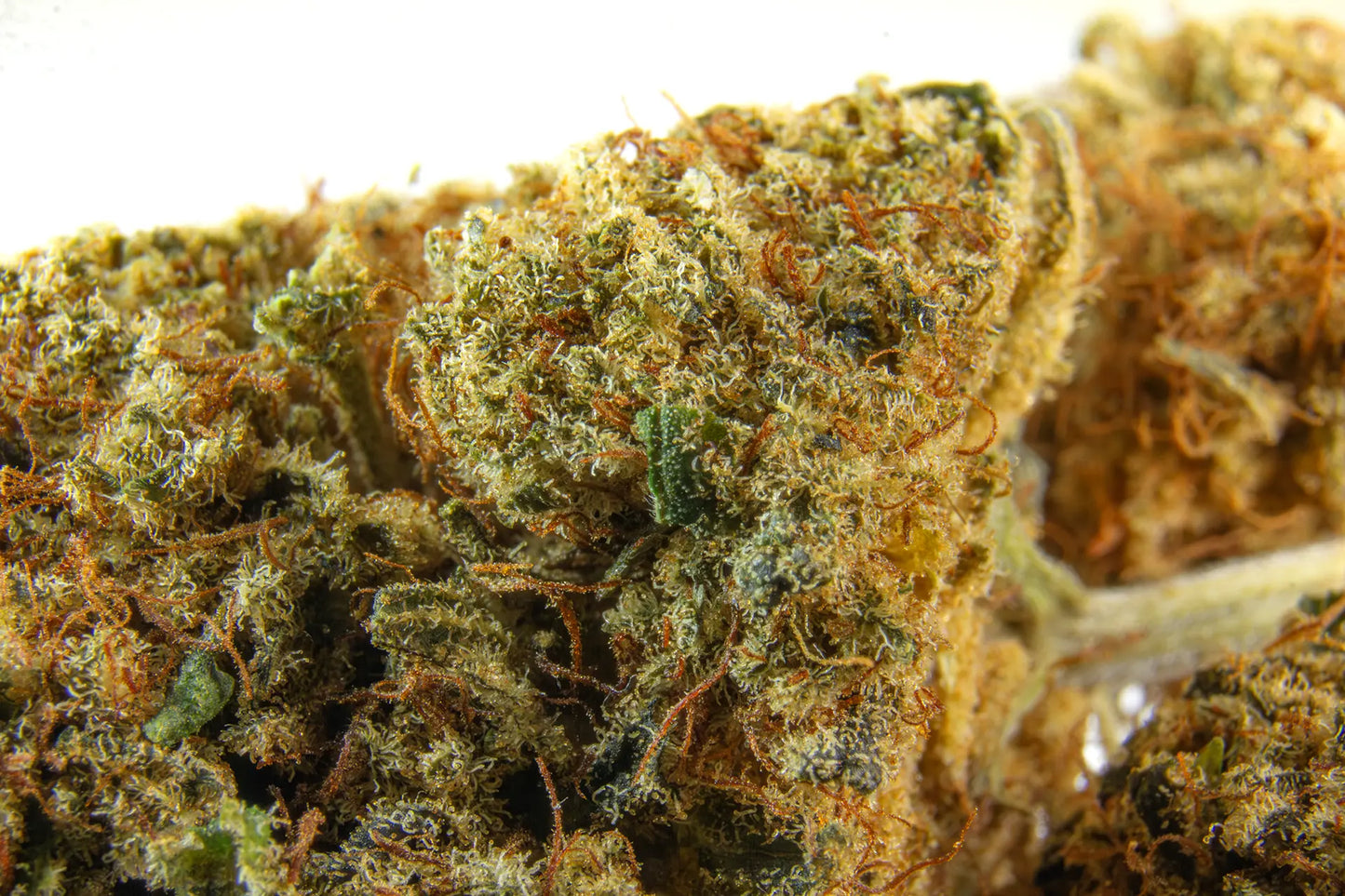 Fleur CBD Mango Kush