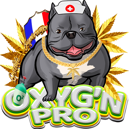 OXYG'N GROSSISTE