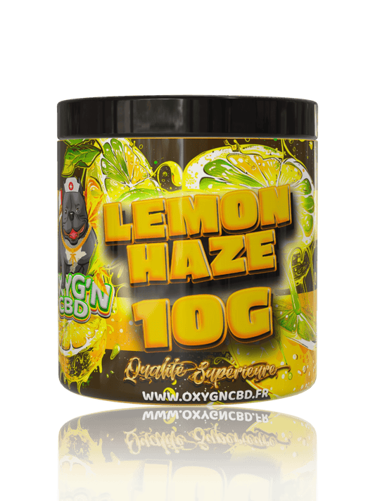 Lemon Haze 🍋 - OXYG'N