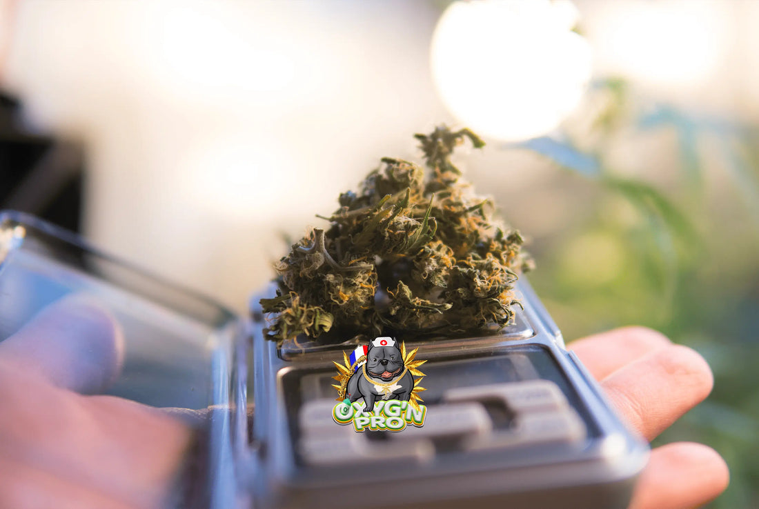 Cbd : le produit qui change la donne face à la baisse du tabac