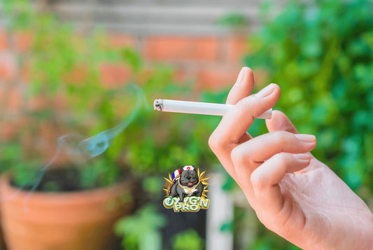 Cigarette CBD : tout savoir sur la nouvelle tendance en bureau de tabac