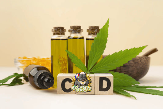 Comment expliquer les différences de prix entre deux fleurs cbd ?