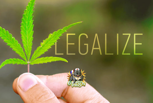 Comment vendre du cbd sans risque juridique en France