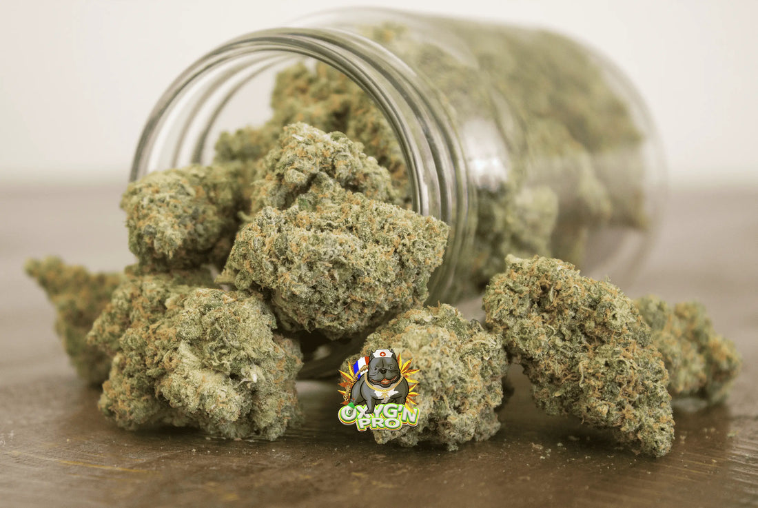 Fleurs de CBD en gros : conseils et astuces pour bien choisir son fournisseur