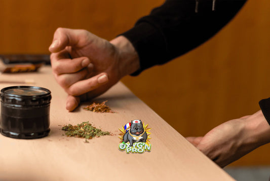 Formats nomades CBD : pourquoi ils cartonnent à l’approche de l’été