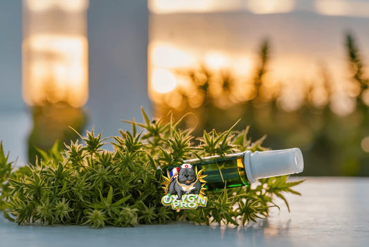  Le CBD, une nouvelle source de chiffre d'affaires pour les buralistes