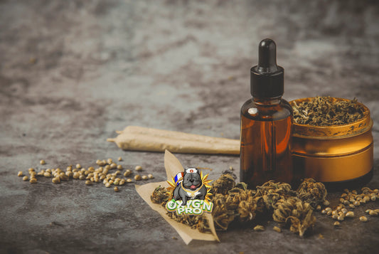 Les meilleures références cbd pour un buraliste : conseils et tendances du marché