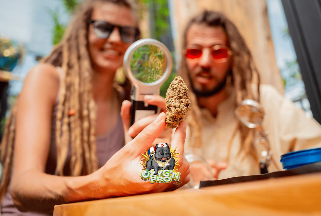 Les profils des consommateurs de cbd en 2026 : comprendre leurs attentes pour mieux vendre