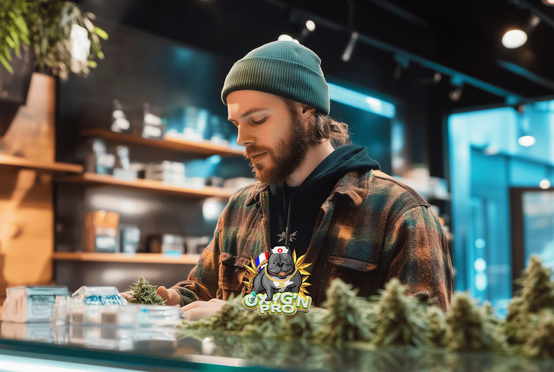 Préserver la qualité des résines CBD en boutique : les bonnes pratiques pour professionnels