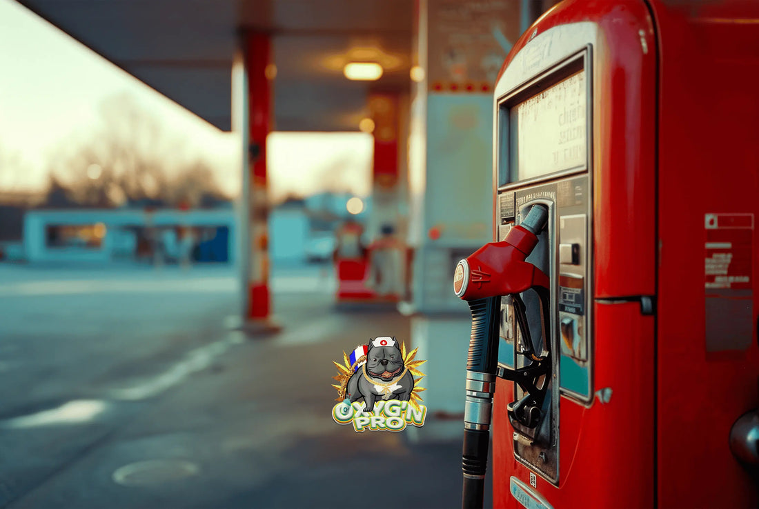 Quels formats CBD privilégier en station-service ?