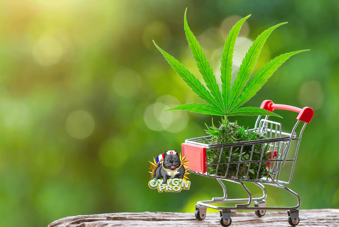 Quels produits CBD se vendent le mieux en épicerie de nuit ?