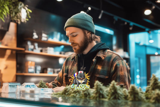 Vendre du CBD en tabac : comprendre les enjeux pour les professionnels