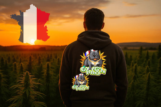 Le marché du CBD en France : chiffres clés, évolution et opportunités