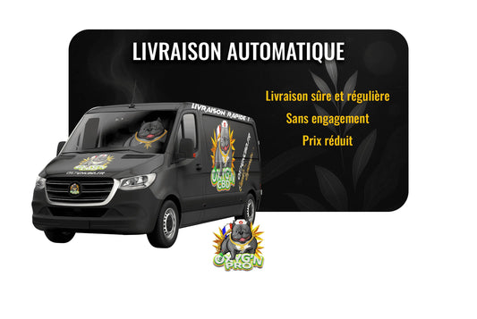 Livraison automatique : Gérer votre stock sans stress