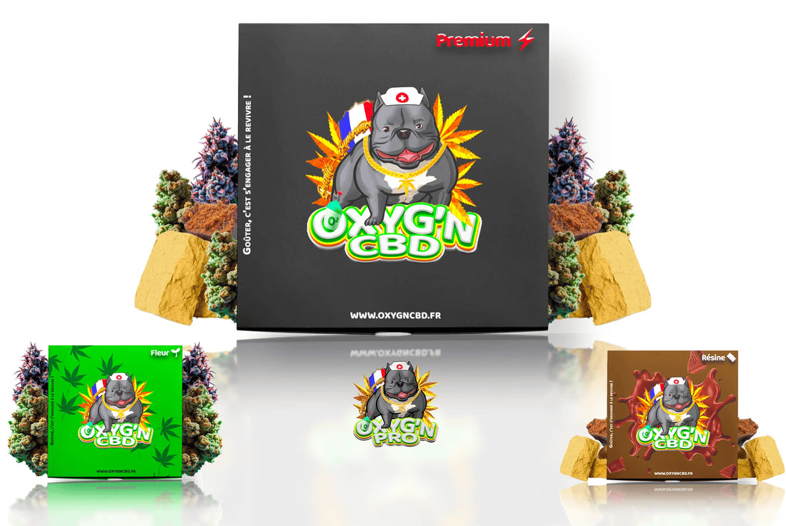 Packs et formules : maximisez votre marge dès la première commande