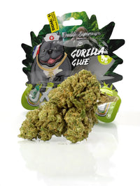 Fleur CBD Gorilla Glue Greenhouse