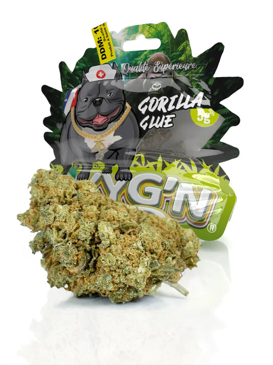 Fleur CBD Gorilla Glue Greenhouse