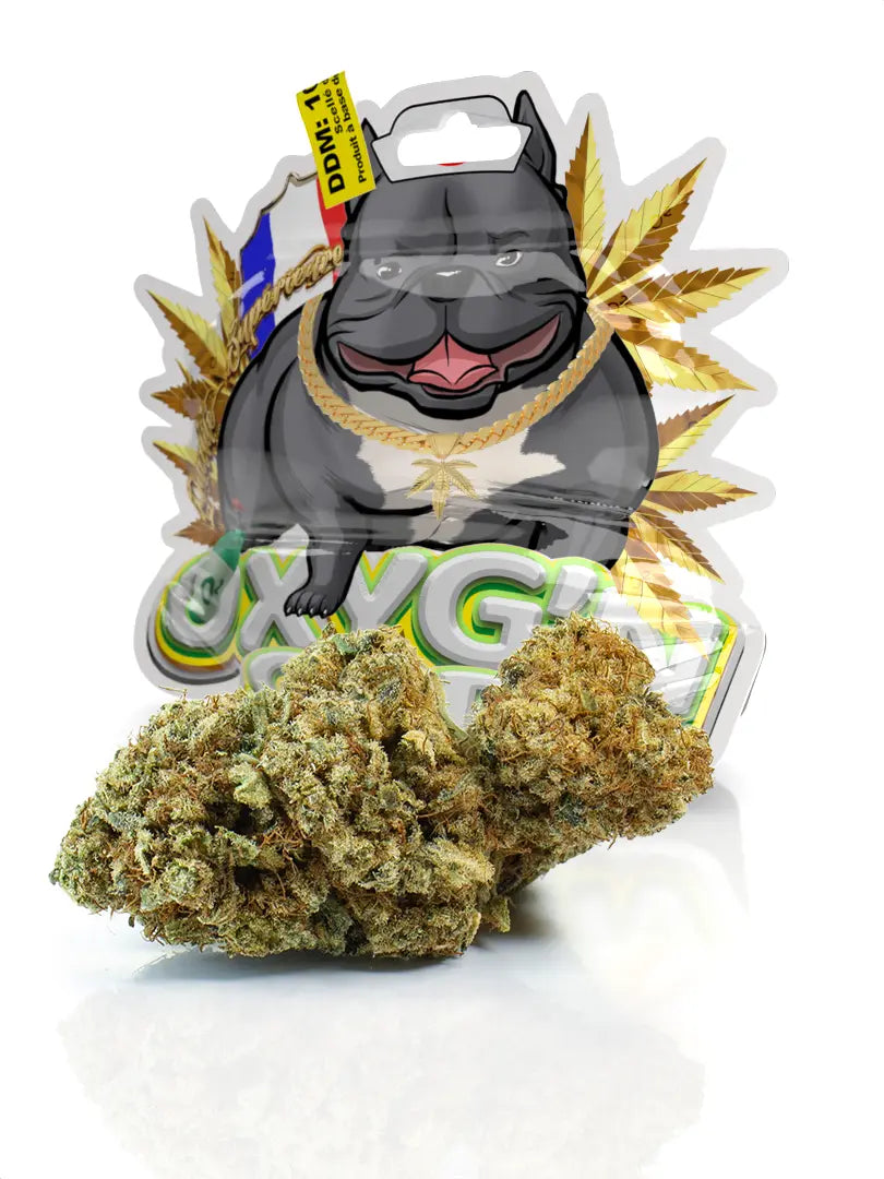 Fleur CBD Mango Kush