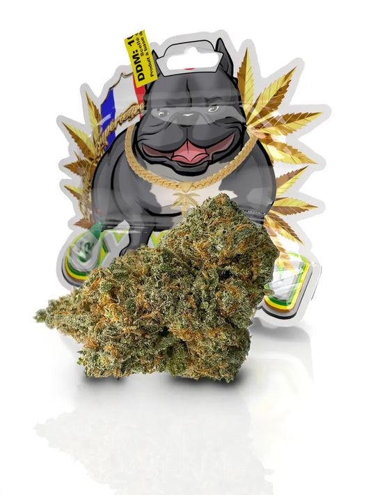 Fleur CBD Gorilla Glue Indoor