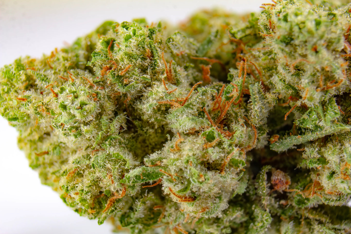 Fleur CBD Girl Scout Cookie