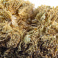 Fleur CBD OG Kush