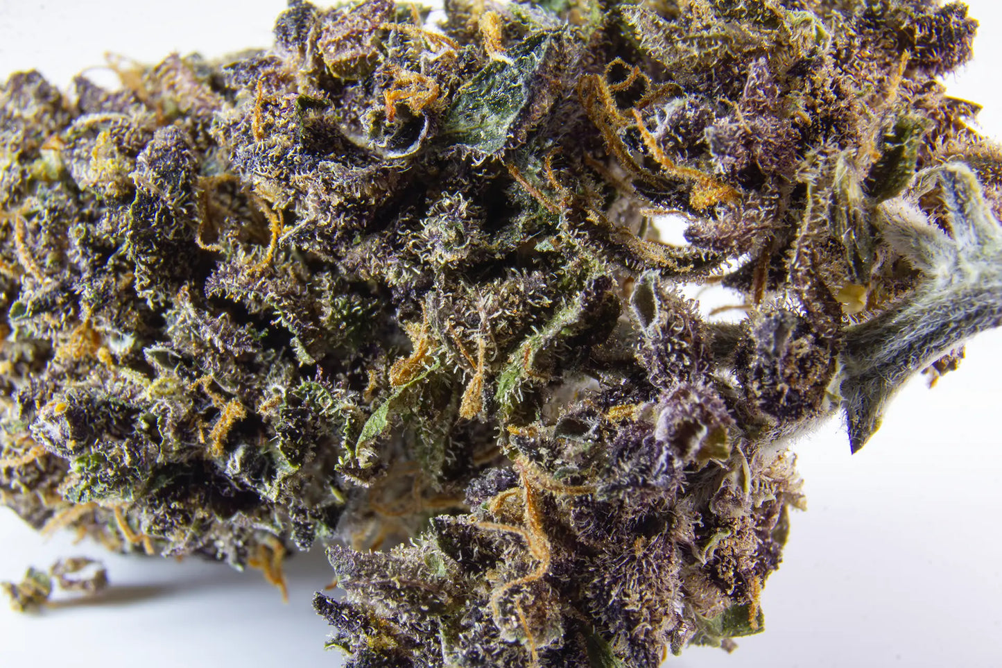 Fleur CBD Purple Haze