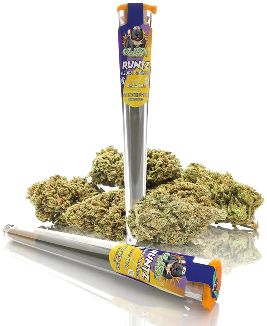 Pré-Roll de CBD Runtz Fleurs de CBD - Oxyg'n Grossiste CBD pour Pro