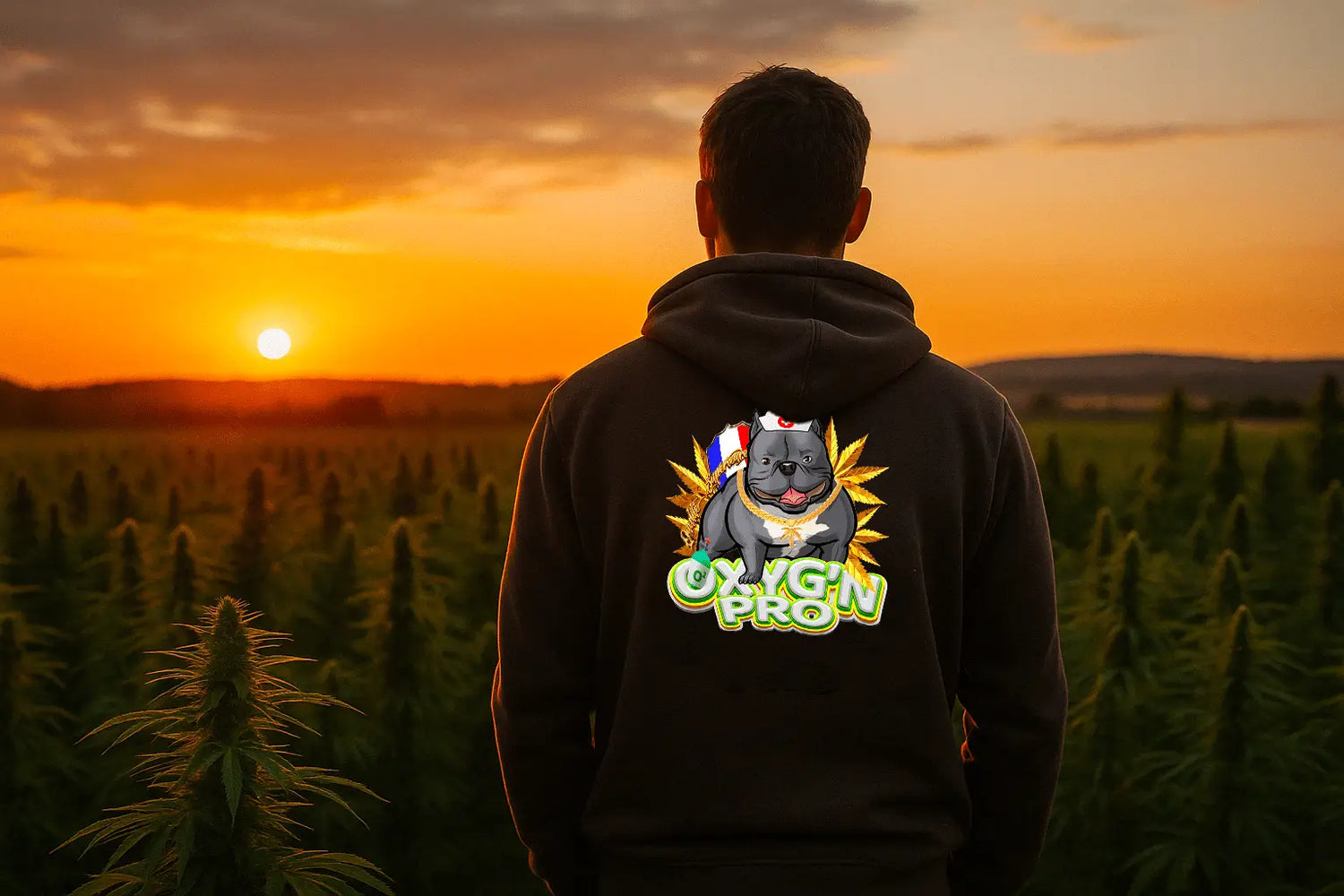 Oxyg'n cbd - Qui sommes-nous ? 