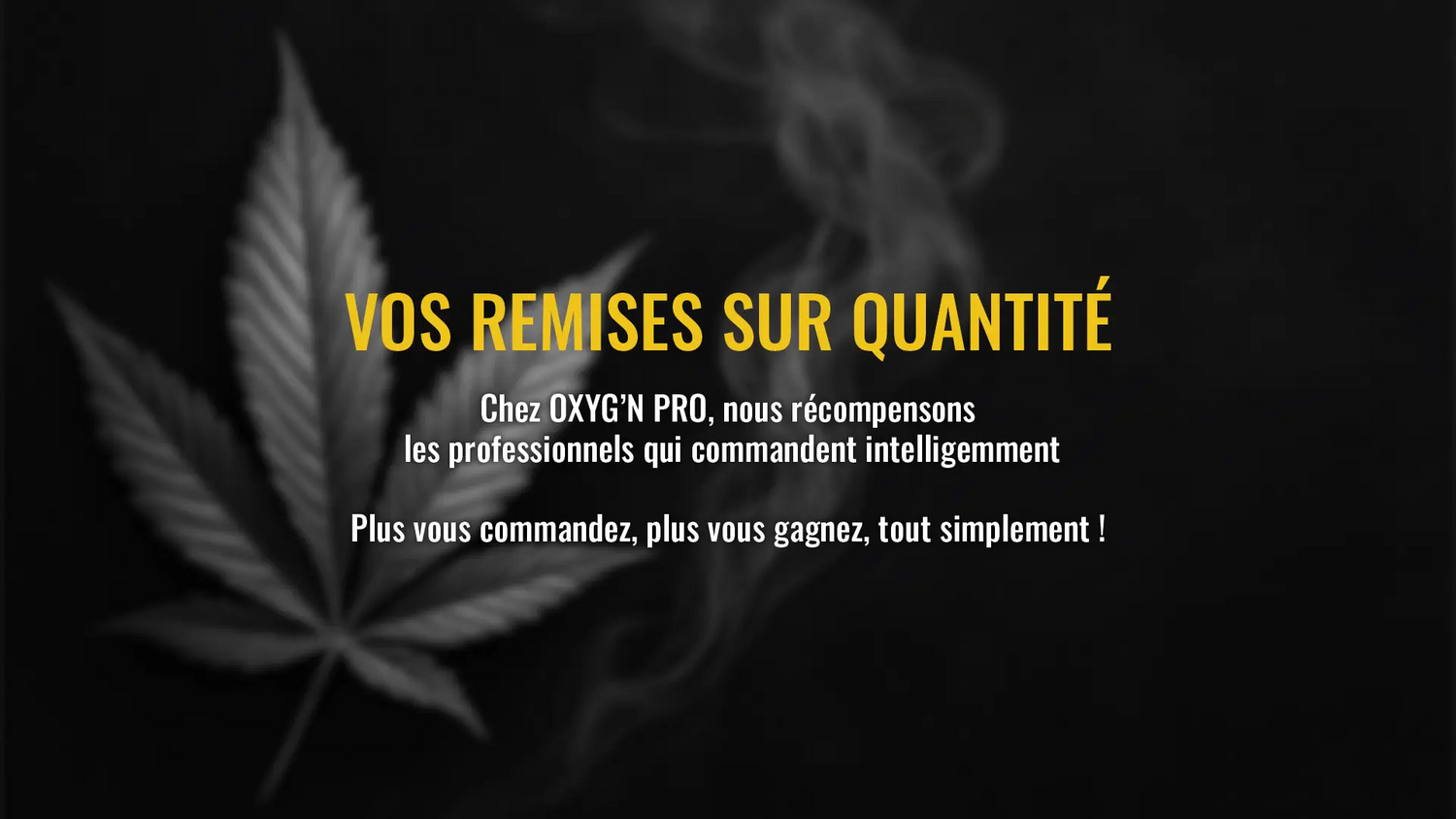 Prix dégressif pour pro cbd
